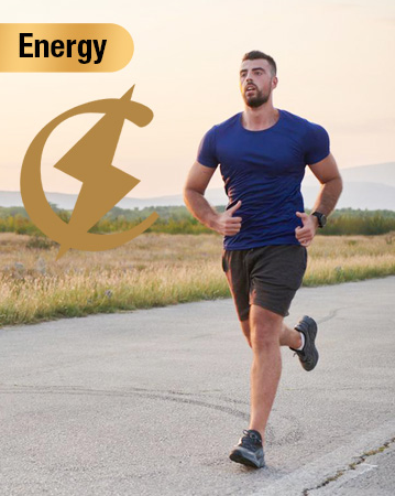 COMBO X2 SHILAJIT GUMMIES X60 UNIDADES