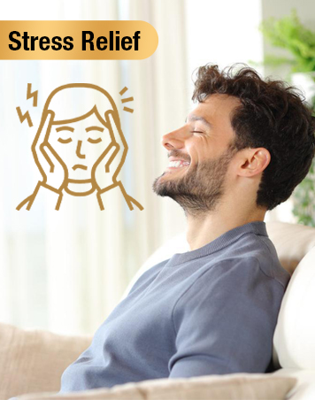 COMBO X2 SHILAJIT GUMMIES X60 UNIDADES