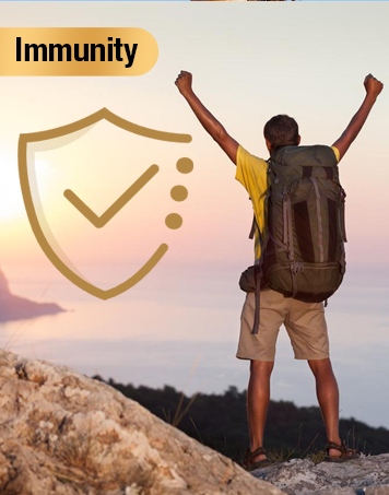 COMBO X2 SHILAJIT GUMMIES X60 UNIDADES